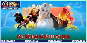 Những loại thể loại trong sảnh đá gà Qh88