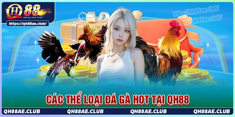 Những loại thể loại trong sảnh đá gà Qh88