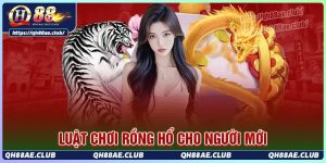 Luật chơi rồng hổ tại qh88 cho người mới bắt đầu