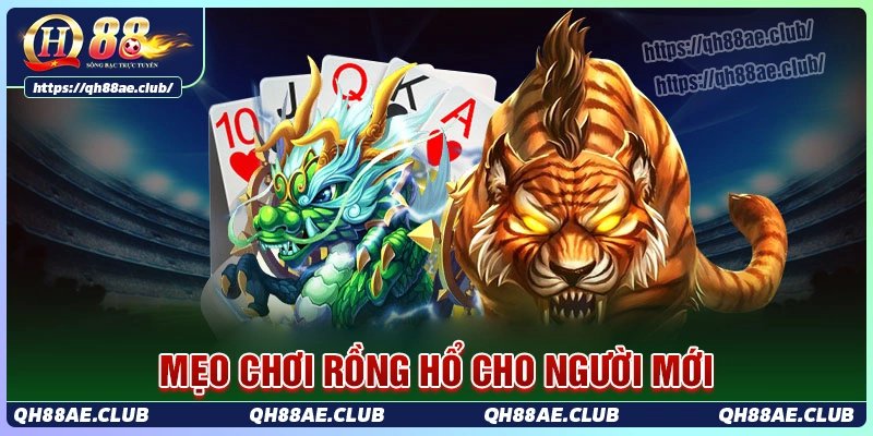 Mẹo chơi rồng hổ qh88 từ những bet thủ kỳ cựu