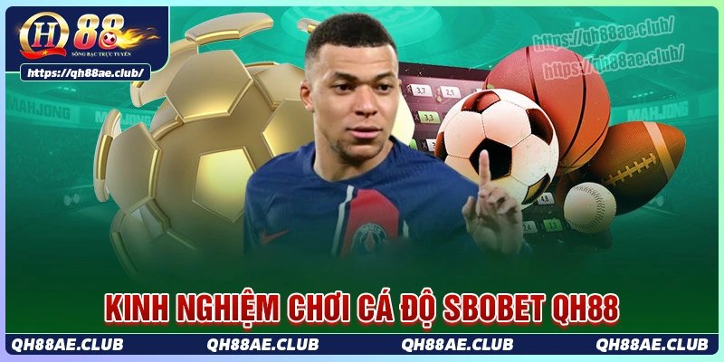 Kinh nghiệm chơi cá độ an toàn tại sảnh sbobet