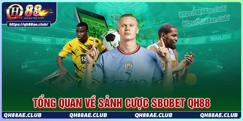 Tổng quan về sảnh cá cược sbobet Qh88