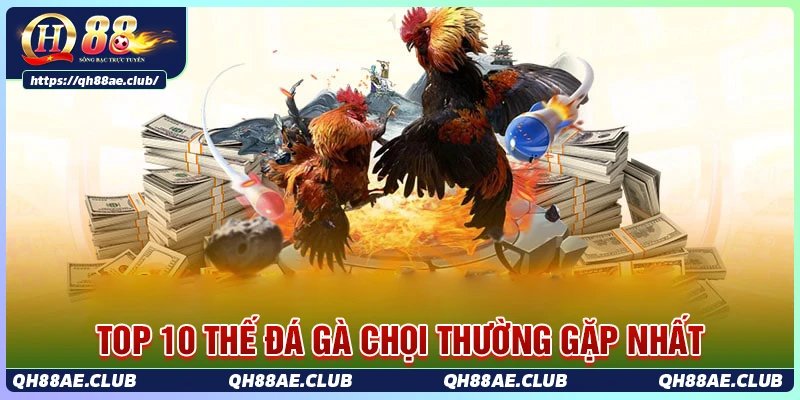 10 thế đá gà chọi thường gặp trong trận đấu