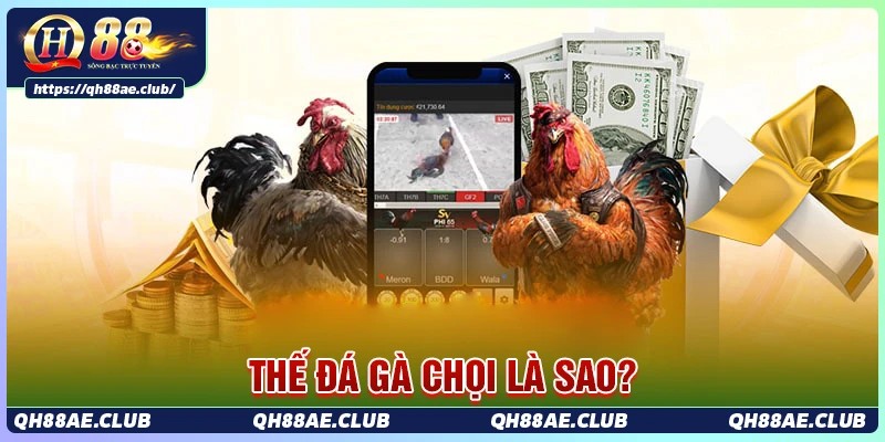 Định nghĩa cơ bản của thế đá gà chọi tại QH88