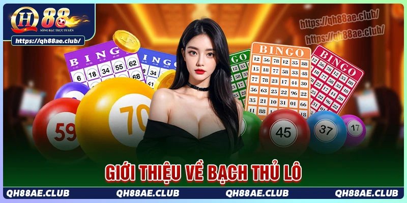 Kỹ thuật soi cầu bạch thủ lô dễ hiểu, tỷ lệ trúng cao