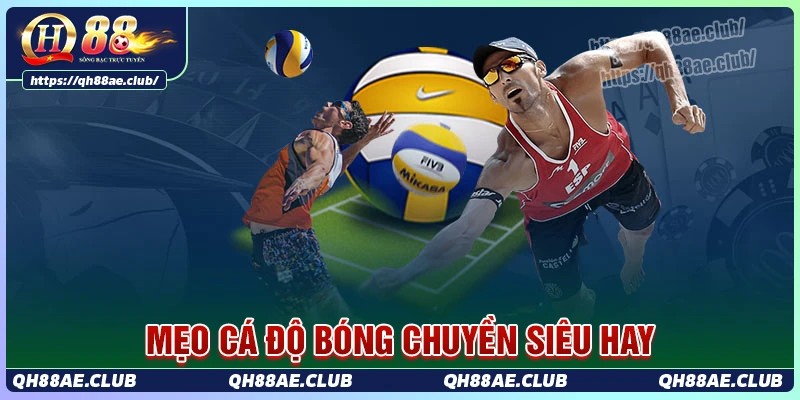 Bật mí một số kinh nghiệm cá độ bóng chuyền hay