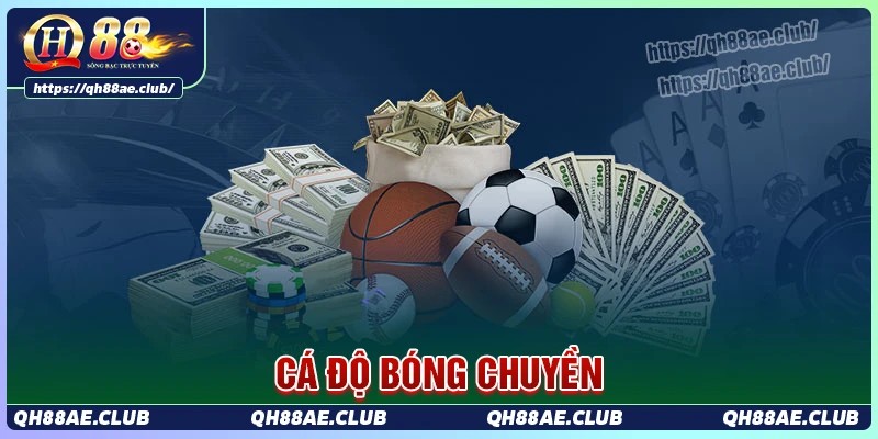 Có những loại kèo cá độ bóng chuyền nào?